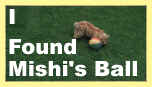 I found Mishi's ball